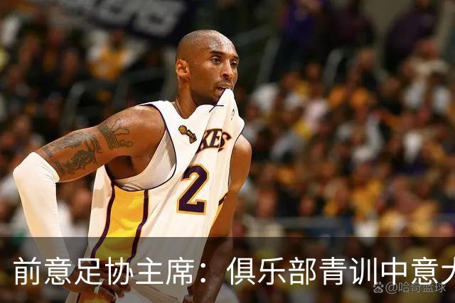 前意足协主席：俱乐部青训中意大利人只有30% 意大利本该进世界杯